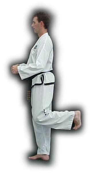 The body becomes full facing with the back fist facing upward at the moment of impact. A reverse strike is common in the case of a walking stance.