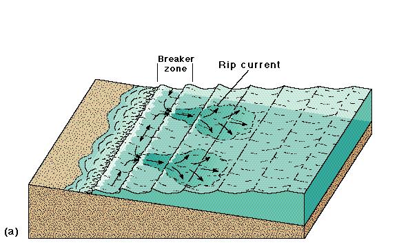 Rip Currents are narrow surface currents