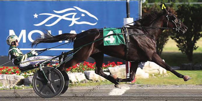 HANNELORE HANOVER Trained by Grand Circuit Trainer of the Year RONNIE BURKE Congratulations to all of tonight s winners with