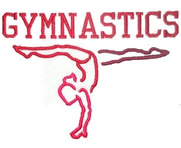 COMPETITIVE TEAM NEWS Upcoming Meets January 12-13 USAG Op