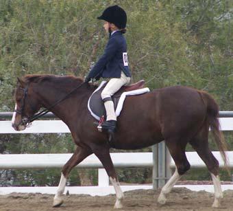 Four jumping and two flat is a reasonable load for a one day show if your horse is in good condition and has been jumping the same height or slightly higher several times per week.