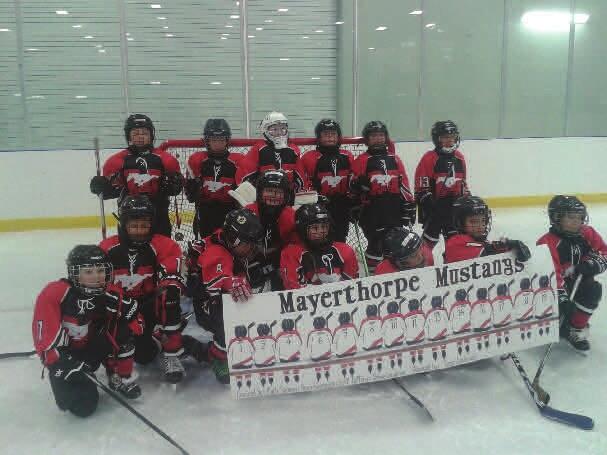 Page 2 STURGEON PEMBINA HOCKEY LEAGUE News from the Novice Director My name is Diane Ziemmer, and I hail from Mayerthorpe, Alberta. I have a 8 yr old son who plays with the Mayerthorpe Atom Mustangs.