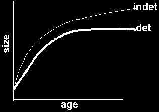 GROWTH Survivorship curves Survival probabilities lx plotted against age x. Called "survivorship curves".