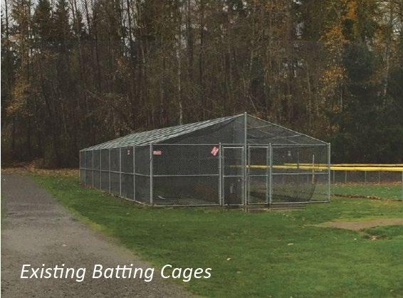 Why the Batting Cage?