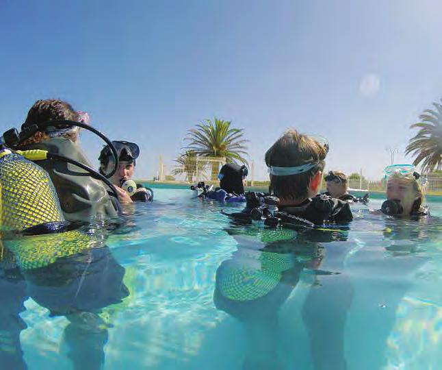PADI Open Water A six-day course teaching and assessing every skill needed to scuba dive in the sea, ending up with a PADI open water qualification.