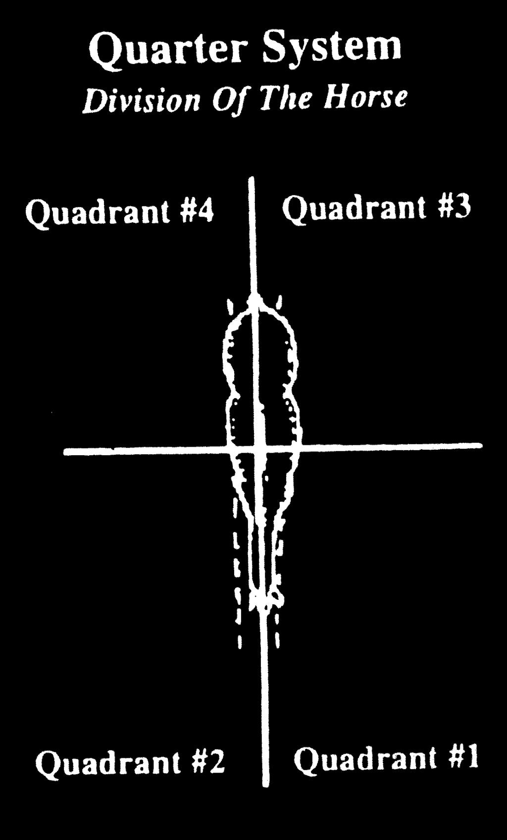 Quadrant #2 The exhibitor is in Quadrant #1 When the judge is in Quadrant