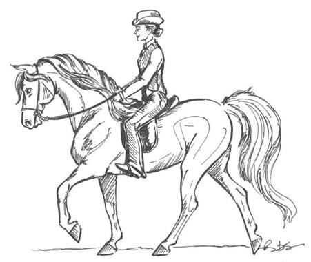 Providing the gliding ride of the Country Trail Horse, combined with the ability to execute proper gait at speed; the frame of this horse depicts a mount that is enjoyable for many types of riders.