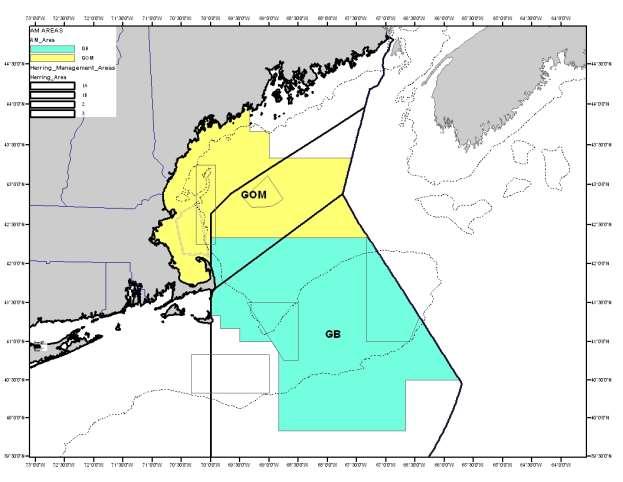 Figure 2 Herring management areas and Haddock AM areas for GB (green) and GOM (yellow) Area 1A Area 1B Area 2 Area 3 From November 2015 through May 1 2016 no directed haddock fishing took place in