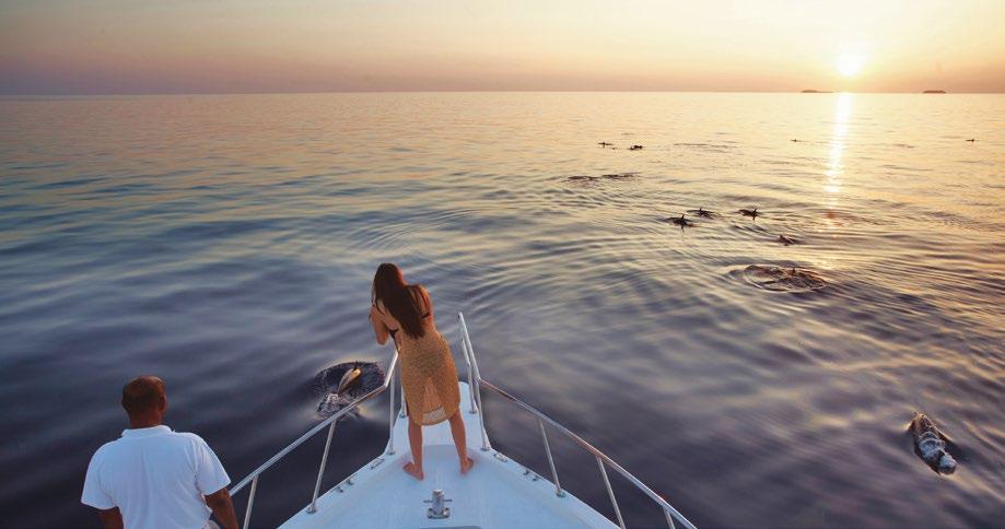 Cruise the deeper water while indulging in a selection of canapés and sparkling wine,