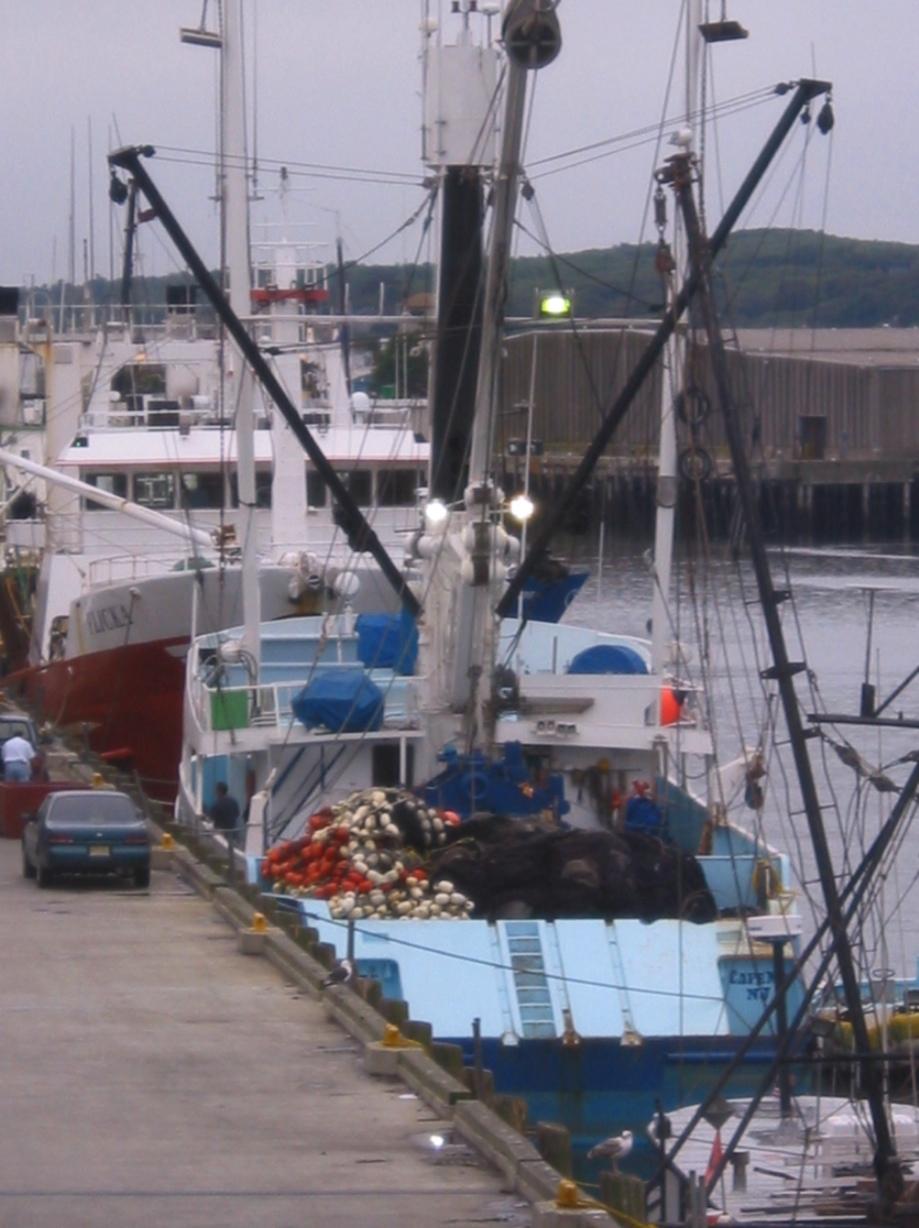 Fishing in the Northeast US Centuries of * Diversity of gear (mobile and fixed) * Trawlers * Purse seines * Gillnets * Long-