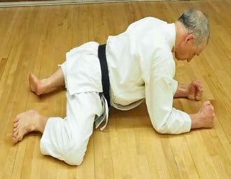 They improve this step tremendously, which is crucial in executing ushiro-geri-kekomi.