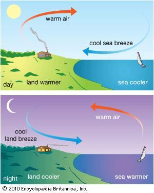 Types of Local Winds Sea and land breezes are formed by varying temperature differences between the land and water.