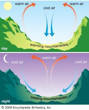 Types of Local Winds Mountain and valley breezes are examples of local winds caused by the topography of an area.