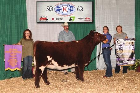 Female honors went to CF CSF Dream Lady 78 AV X ET exhibited by Cornerstone Farms of Winchester, Ind.