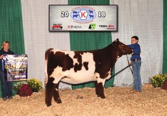 Champion Cow/Calf Pair- Brandy s Raspberry, Ruth Stroup, Kreamer, entries): 1) TSSC Blackberry Pie 829F exhibited by Reed Hanes; 2) SULL Jalynn s Girl 8998F exhibited by Kathy Lehman; 3) Midnight