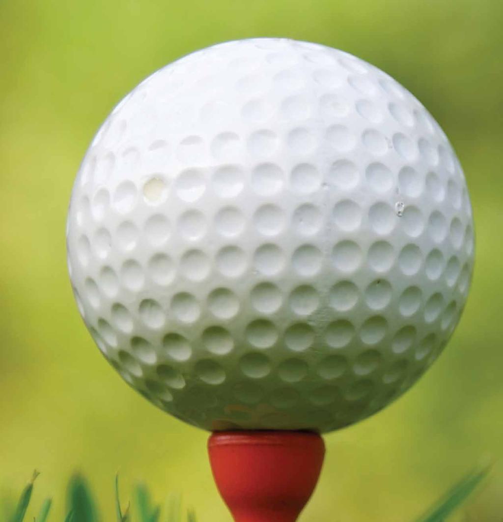 Golf News Weather Hotline Please check the weather hotline daily to hear about course conditions for any delays. 770-448-2008 ext. 3333. 2019 Tournament Calendar Coming Soon!