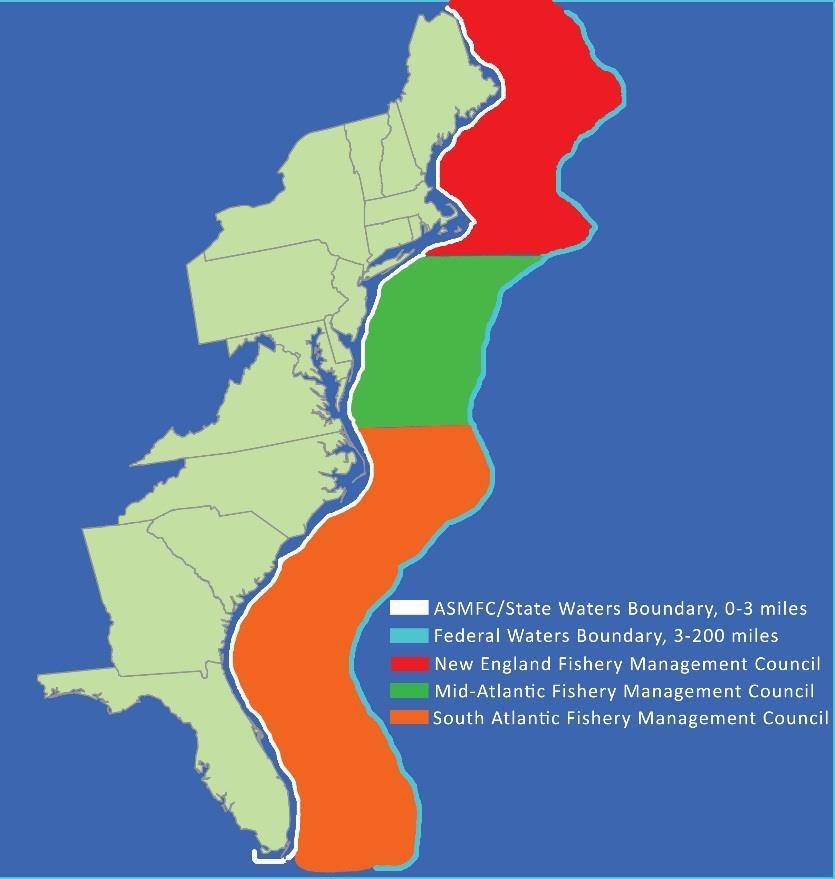 Fisheries Management 27 species/species groups Some managed solely by Commission American eel, striped bass, Atlantic menhaden, spot