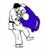 Nage-Waza - Throwing Techniques