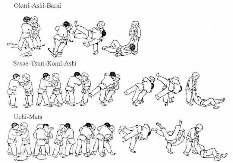 Requirements for promotion to the 1st Kyu (Ikkyu/Brown Belt) 12-16 Years old (in order of priority) All newly introduced ne-waza skills and techniques must be demonstrated.