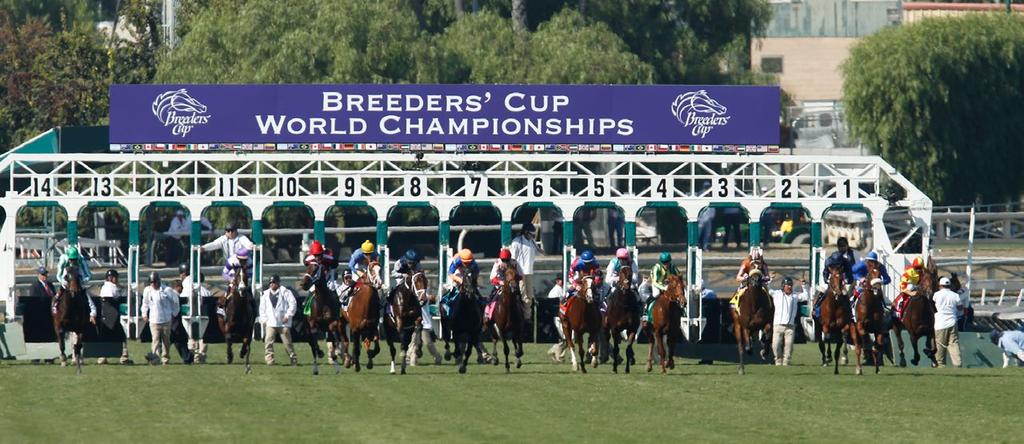 An event where the world s elite thoroughbreds could meet to settle the age-old question, Who is the best?