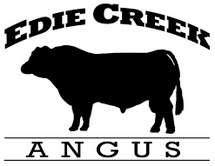 Edie Creek Angus Box 17, Grp 165 RR1 Dugald, MB R0E 0K0 ECA 66W - OCC Legacy 839L Daughter Quality Grass-Based