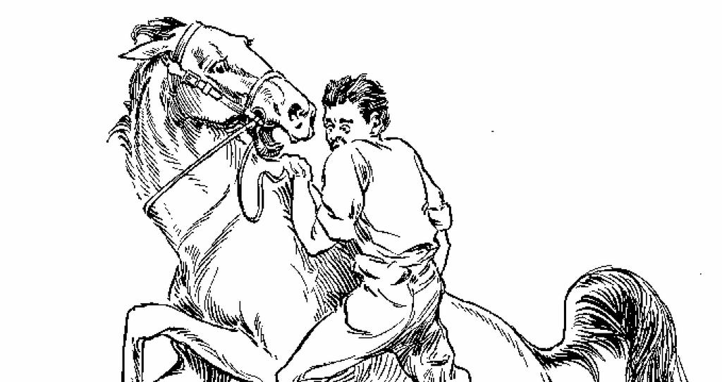 Bad to ride BAD TO RIDE Put on Pulley Breaking Bridle, under the ordinary riding bridle. Have your assistant try to get on the horse's back. If the horse resists, punish with the Pulley Bridle.