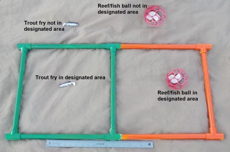 The designated area for trout fry is painted green. The designated area for the reef/fish ball is painted orange.