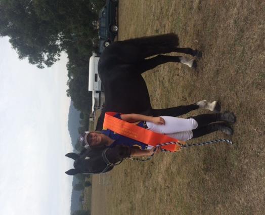 Lilly mentone sj b grade 1st and 1st and overall champion Bobby state dressage championships