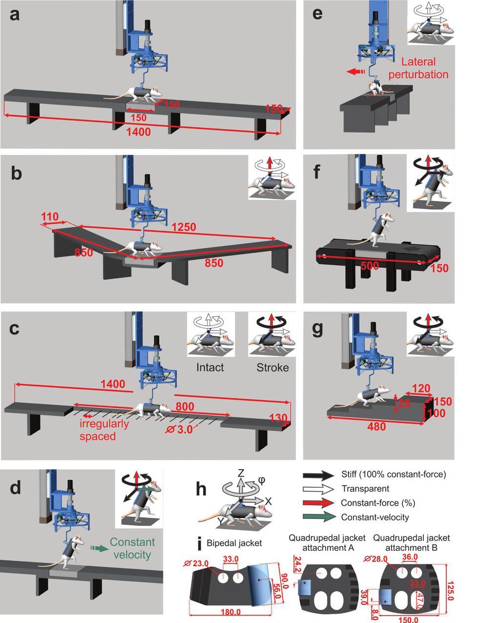 Supplementary Figure 2: Technical description of the locomotor testing paradigms Locomotor capacities of intact and motor impaired rats were evaluated in a total of 7 tasks. a. Quadrupedal locomotion along a straight horizontal runway.
