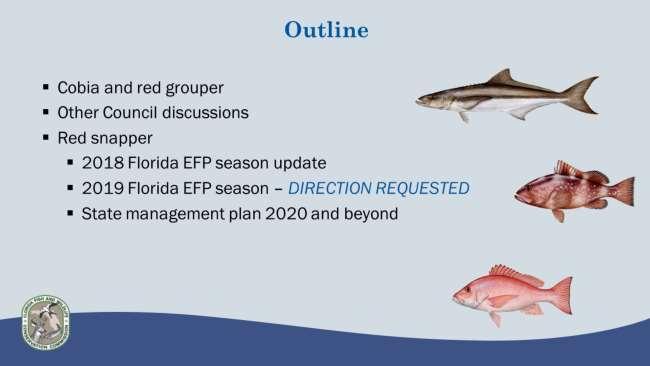 This presentation will provide an update on recent Gulf Council discussions including cobia and red grouper.