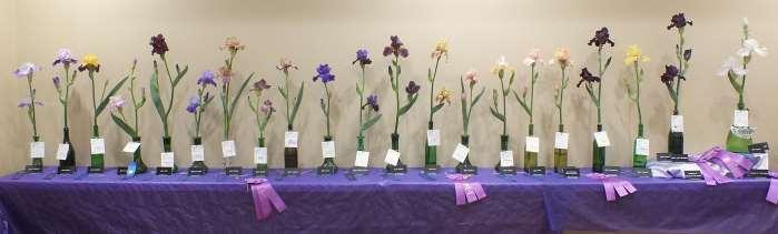 Page 3 Waco Iris Society News Volume 10, Issue 6 Irises and Childhood Memories by Ken Anderson, Show Chair The Waco Iris Society held its annual iris show on Saturday, April 7, 2018, at the La Quinta