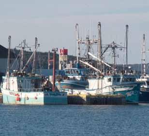 The global recession weakened demand, which put downward pressure on prices for many species and reduced fishing activity. The Canada/U.S.