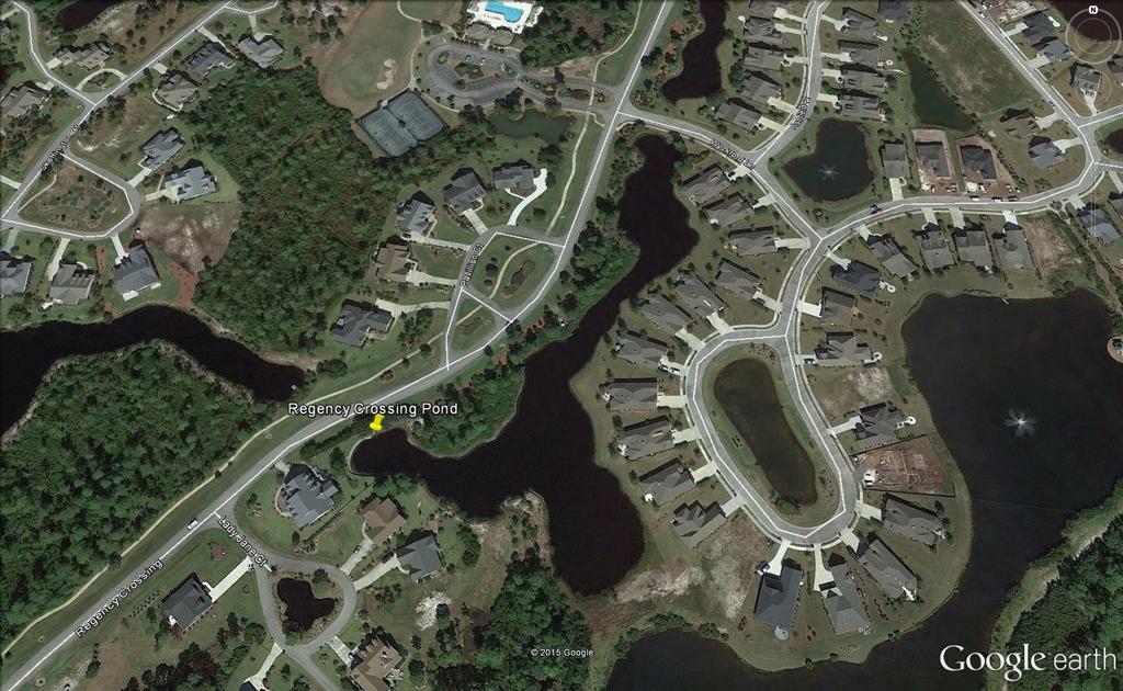 REGENCY CROSSING POND DIRECTIONS: Enter Regency Gate; at roundabout continue on Regency Crossing Road; Regency Crossing Pond is the second pond on the left.