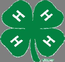 The McLennan County 4-H LINK 1Blinking you to the latest 4-H information June 2012 Edition Is Photography one of your 4-H projects or you want to know more about it?