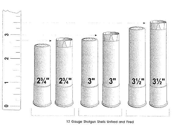 Various types of shells exist. They vary in length, gauge, shot size, and type of pellet. The length refers to the dimensions of the shell after firing.