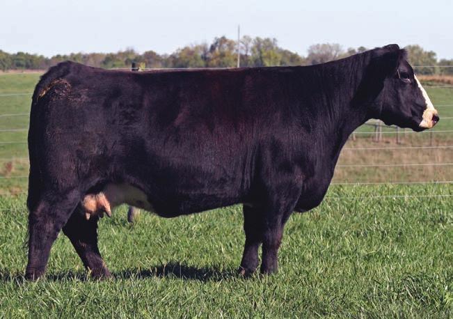 Meyer (Witchdoctor) DAM: Dr. Who/ Sm AI: 5.10 to FU Man Chu PE: Brigade Lot 8 - This one is pulled right from the front pasture to move into your front pasture.