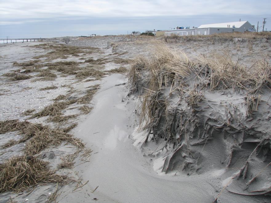View 5b Shows conditions immediately following winter storm Saturn. Storm waves overwashed the beach pushed the wrack line to the seaward dune toe.