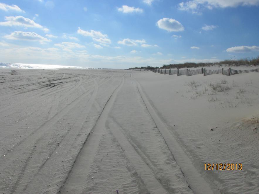 The beach is still relatively narrow and low in profile dune recovery is slow but the fence was not yet installed. View 10b shows the post-saturn beach and dune conditions.