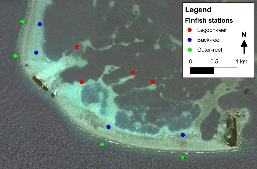 4. Finfish Assessments Methodologies Data collection Fish on reef habitats were surveyed using distance-sampling underwater visual census (D-UVC) methodology.