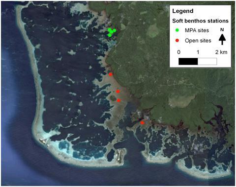 Summary graphs of mean density by site and survey year were generated to explore spatial and temporal patterns in invertebrate assemblages from the manta tow, RBt and SBt stations.