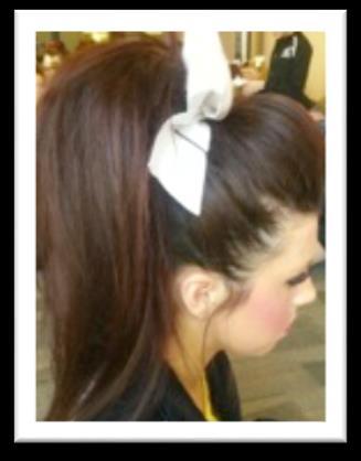 COMPETITION HAIR CHEER (ALL TEAMS) 1.