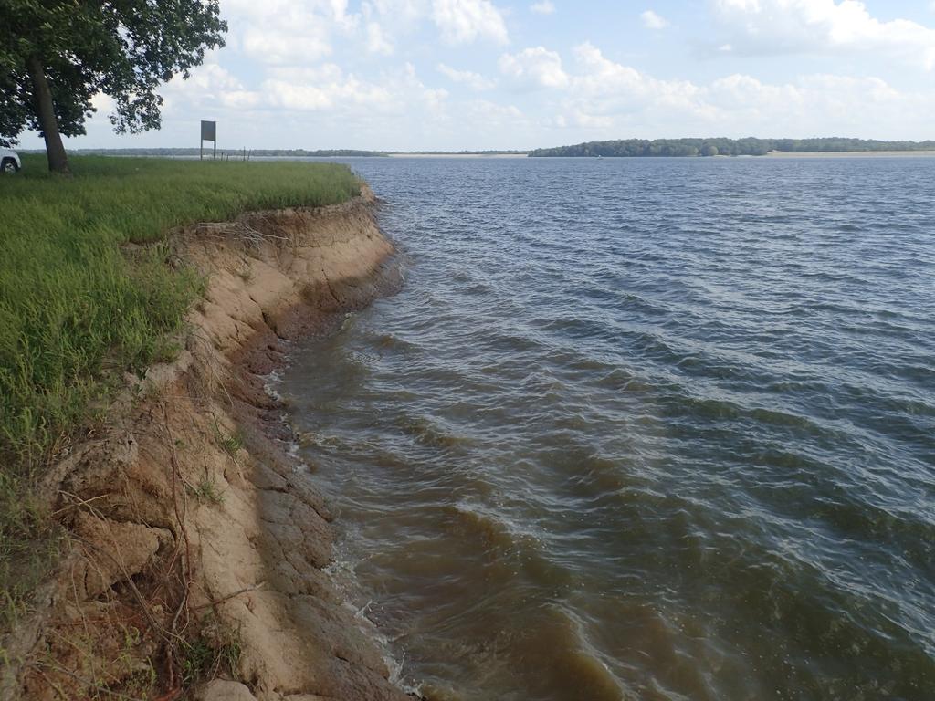 Photo of existing shoreline