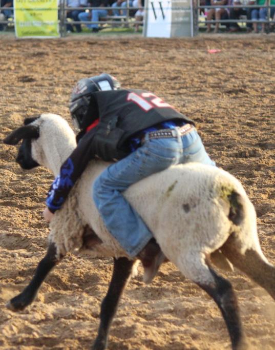 Package #7 Bleacher Sponsor $2000 each (4 Packages Available) Package #8 Mutton Busting Sponsor $2000 (1 Package Available) * (4) Tickets each night of Rodeo * (4) Invitations to kick off party