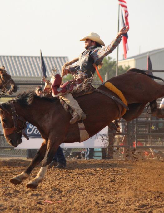 Package #11 Veterinary Sponsor $1000 (1 Package Available) * PA Announcements duringeevent * (4) Tickets each night of Rodeo * (4) Invitations to kick off party Package #12 Bucking Chute