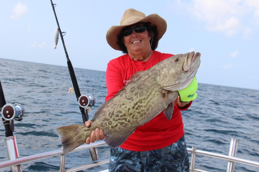 Captain Kathy Brown of Miss Judy Charters is holding a nice gag grouper aka Freight train pulling grouper that goes very nicely with her red shirt! What does a big fish like this want to eat?