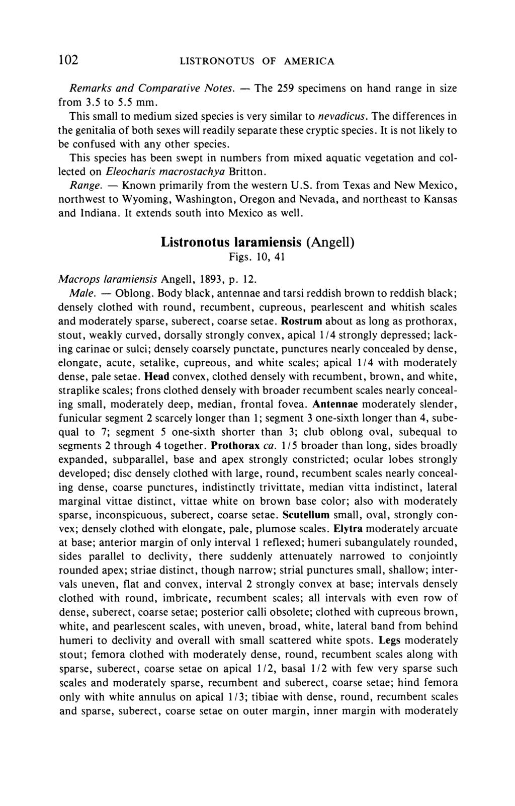 102 LISTRONOTUS OF AMERICA Remarks and Comparative Notes. from 3.5 to 5.5 mm. The 259 specimens on hand range in size This small to medium sized species is very similar to nevadicus.