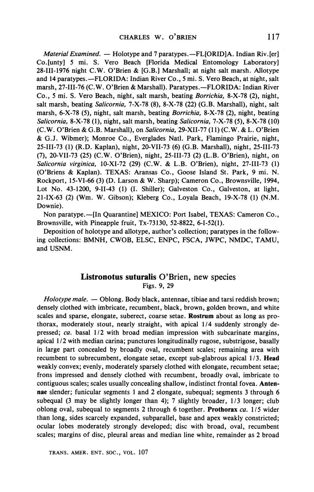 Material Examined. CHARLES W. O'BRIEN 117 Holotype and 7 paratypes.fl[orid]a. Indian Riv.fer] Co.[unty] 5 mi. S. Vero Beach [Florida Medical Entomology Laboratory] 28-111-1976 night C.W. O'Brien & [G.