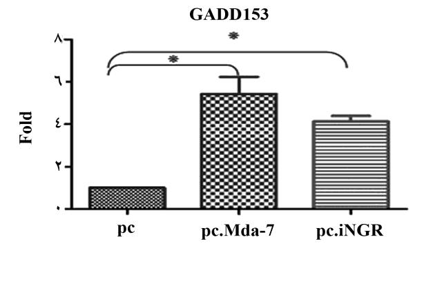 ingr ژنmda-7 تغییریافتهبوسیلهتوالی سازهپالسمیدیبیانکننده ضكل ثبالی اػذاد.Mda-7 دش سئیي ػلی ELIZA شلبكی ا آصهبیؾ ا دبم ثب.pCDNA3.1/Mda-7 pcdna3.1/mda-7.