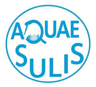 AQUAE SULIS PERFORMANCE SWIMMING CLUB www.aquaesulisswimming.co.