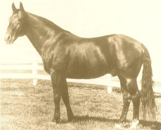 mare as well as the world record holder for pacing stallions. Volomite was the first sire to have one hundred progeny on the 2:10 list, again with both trotters and pacers.